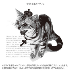 送料無料[ドルマンTシャツ]シャーという猫-PUNK-CAT[レディース] 4枚目の画像