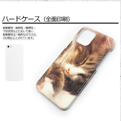 即納｜送料無料★癒される猫の寝顔スマホケース　ハードケースiPhone12/iPhone12Pro 2枚目の画像