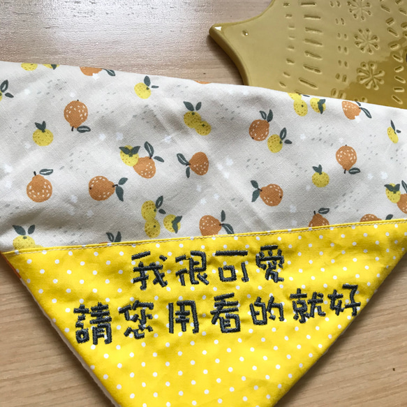 寶寶繡字圍兜兜/我很可愛、請您用看的就好/韓國文青圖案/可愛橘子/口水巾/三角巾 第3張的照片