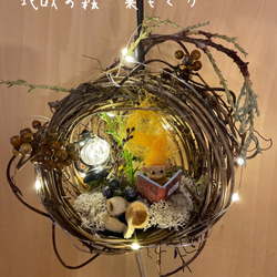 BBクリームひめぎみ その他ファッション ビーネル 通販 10163124