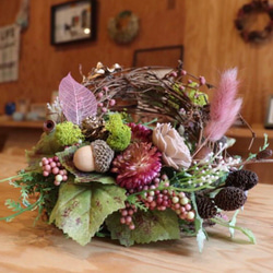 BBクリームひめぎみ その他ファッション ビーネル 通販 10163124