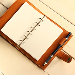 0_61a0f56bf2e82c1ef384d407d025