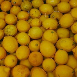 無農薬レモンまるごと！レモネードベース 170g 4枚目の画像