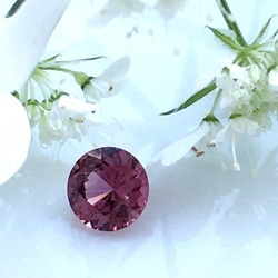 スピネル【SPINEL】 1枚目の画像