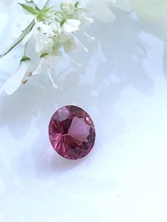 スピネル【SPINEL】 4枚目の画像