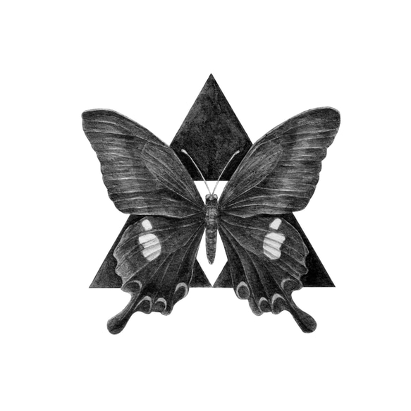 トートバッグ Butterfly 3枚目の画像