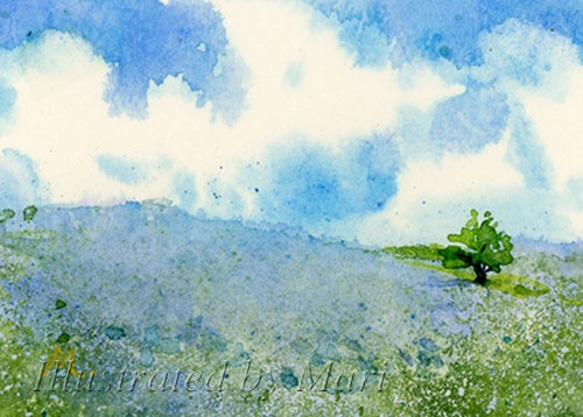 春の訪れ-ネモフィラの丘- 4枚目の画像