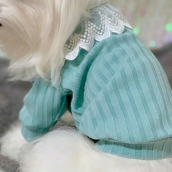 【完成品】犬服・ハイネックミントのニット 4枚目の画像