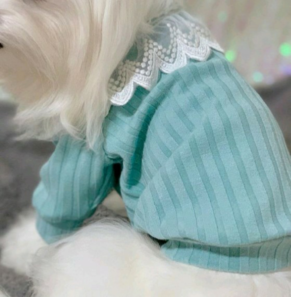 【完成品】犬服・ハイネックミントのニット 4枚目の画像