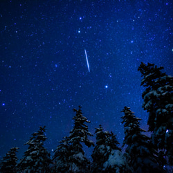 アート写真【ハガキサイズ〜A３サイズ】北海道大雪山　トドマツの森に降った流れ星 1枚目の画像