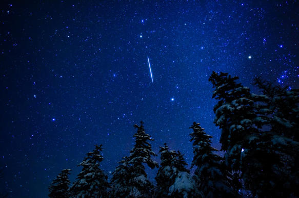 アート写真【ハガキサイズ〜A３サイズ】北海道大雪山　トドマツの森に降った流れ星 1枚目の画像