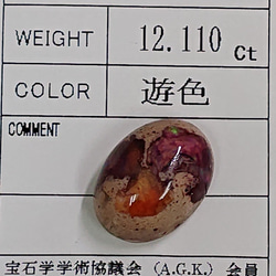 天然 カンテラオパール (母岩付オパール) ルース 12,110ct 日本宝石科学協会ソーティング付き 5枚目の画像