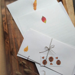 落ち葉の便箋　～レターセット 1枚目の画像