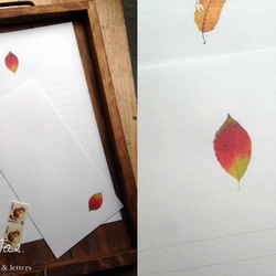落ち葉の便箋　～レターセット 3枚目の画像