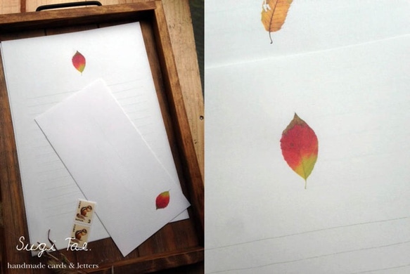 落ち葉の便箋　～レターセット 3枚目の画像