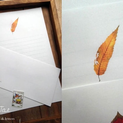 落ち葉の便箋　～レターセット 4枚目の画像
