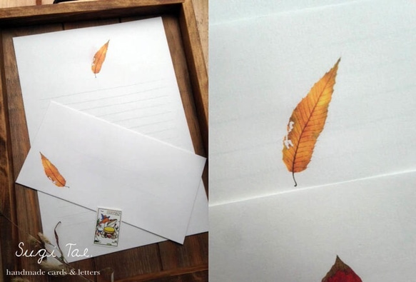 落ち葉の便箋　～レターセット 4枚目の画像