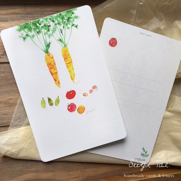 Fresh Vegetables vol.1　野菜のカードセット 3枚目の画像