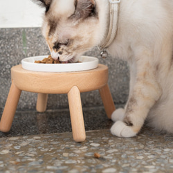 流星 フードボウルスタンド / 275 ml  / 小さな中型ペット / 犬、ねこ用食器 2枚目の画像