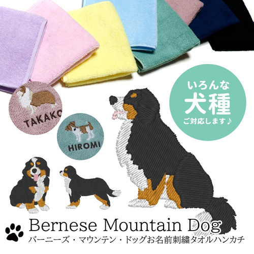 バーニーズマウンテンドッグ刺繍今治タオルハンカチ ハンカチ バーニーズマウンテンドッグ刺繍今治タオルハンカチ ハンカチ