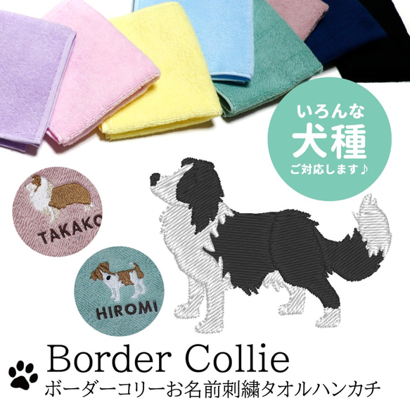 ボーダーコリー刺繍今治タオルハンカチ ハンカチ・手ぬぐい Terry Land