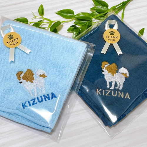 パピ+ヨン　ハンカチ　パピヨンちゃん柄 Amazon.co.jp: (アーンジョー)Enjeau ｢パピヨン｣ 日本製