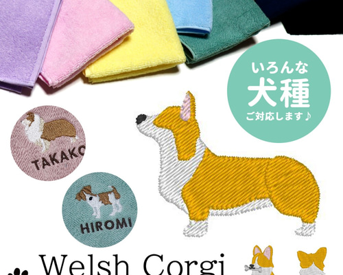 【当店限定販売】 0_de8f02319f86405b7381e7c160e0 その他