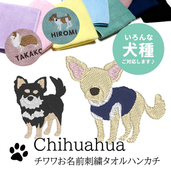 あしべ☆　ハンカチ　チワワ柄　17枚 あしべ☆様専用 ハンカチ チワワちゃん柄