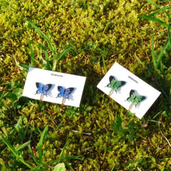 ミニアゲハ蝶のイヤリング 2枚目の画像