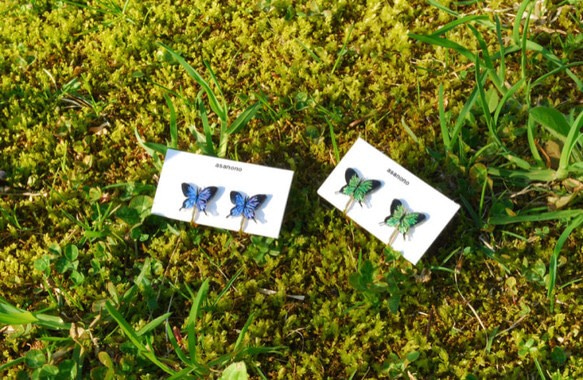 ミニアゲハ蝶のイヤリング 2枚目の画像