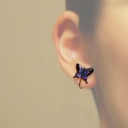 ミニアゲハ蝶のイヤリング 4枚目の画像