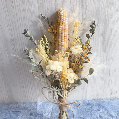 コーンドライフラワー キッチンスワッグ 約28センチ ドライフラワー