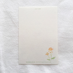 【No.043】ポストカード3枚セット（いっぱい遊んでね！〜菜の花とアオムシくんと蝶々さんと〜） 3枚目の画像