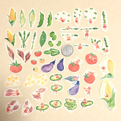 【送料無料】フレークシール   夏野菜シリーズ 2枚目の画像