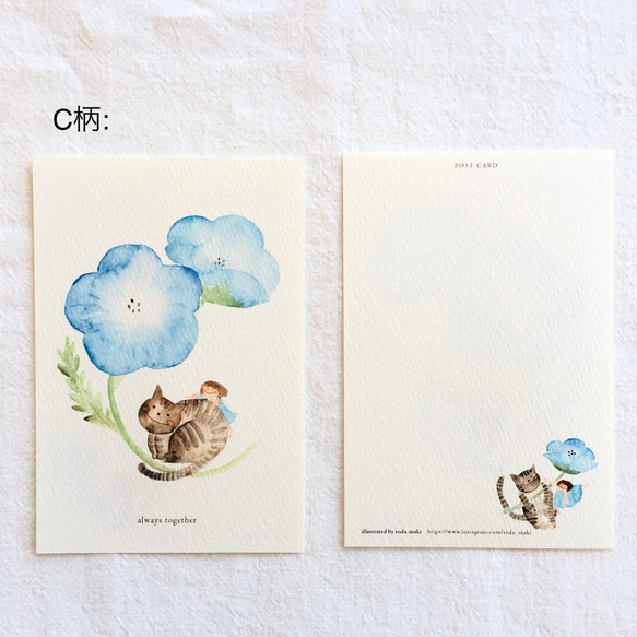 【No.035】ポストカード3枚セット（ネモフィラとネコちゃんとシリーズ） 7枚目の画像