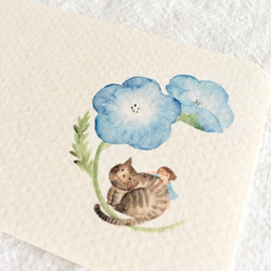 【送料無料】ミニメッセージカード    ネモフィラとネコちゃんと 2枚目の画像
