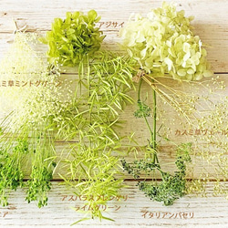 グリーン花材セットＡ　ハーバリウム　サシェ　スワッグ　プリザーブドフラワー　ドライフラワー 3枚目の画像