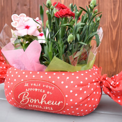 予約販売【母の日カーネーション鉢物】お花を長く楽しみたいお母さんへ♡鉢セット　花苗・器・リボン・ラッピングセット 3枚目の画像