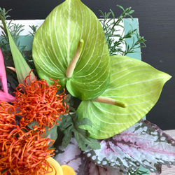 一点物【サマーギフト】トロピカル フラワーウォール　２way／壁かけ観葉植物・造花 3枚目の画像