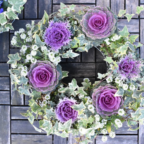 紅と白をご用意♪寄せ植え【クリスマス・お正月】葉牡丹と 紅と白をご用意♪寄せ植え【クリスマス・お正月】葉牡丹と