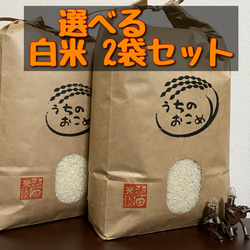 令和元年産　栃木県産コシヒカリ玄米30キロ