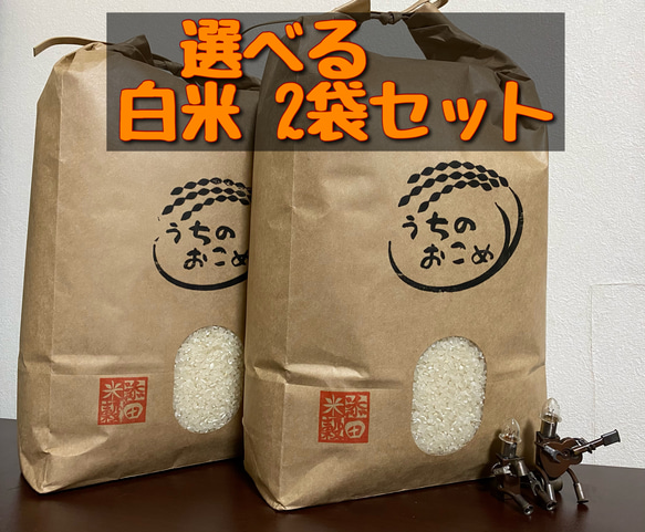 令和4年【新米】栃木県産 白米で味比べセット【コシヒカリ・とちぎの星】【お得に】【玄米にも】 1枚目の画像