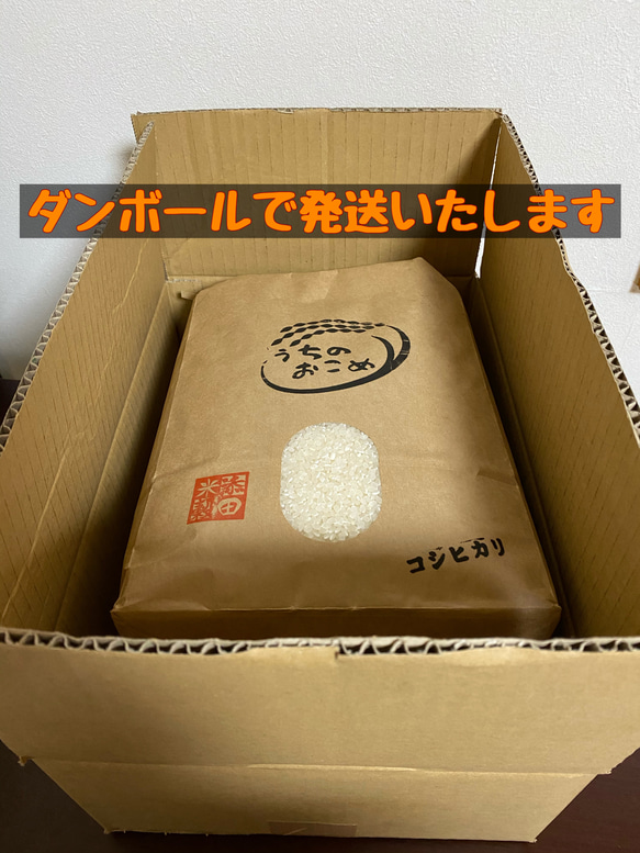 令和4年【新米】栃木県産 白米で味比べセット【コシヒカリ・とちぎの星】【お得に】【玄米にも】 6枚目の画像