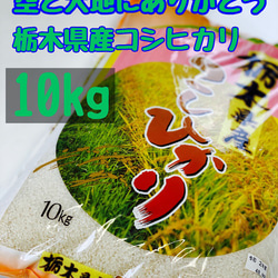 【新米】令和4年【空と大地にありがとう】栃木県産コシヒカリ 白米10kg 【送料お安く】 1枚目の画像