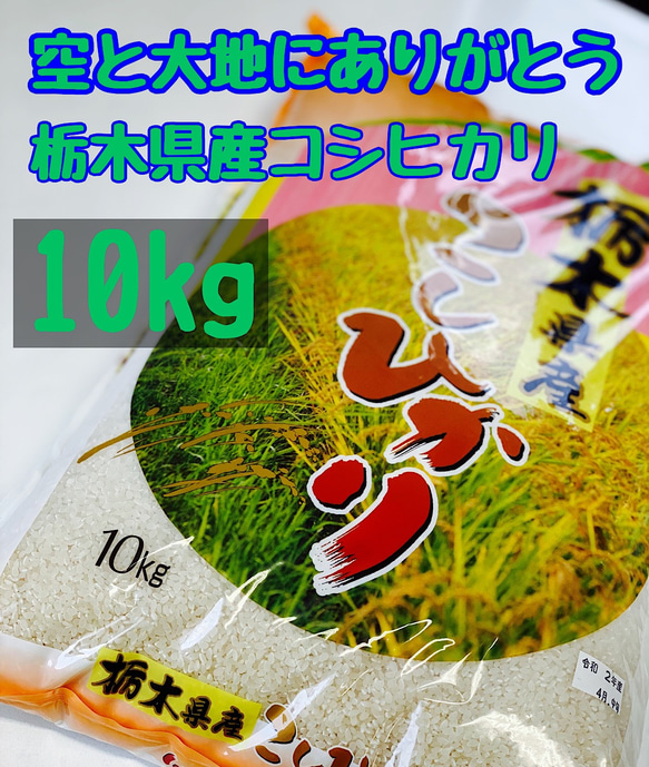 【新米】令和4年【空と大地にありがとう】栃木県産コシヒカリ 白米10kg 【送料お安く】 1枚目の画像