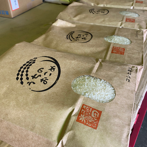 令和4年産】兵庫県但馬産コシヒカリ 10kg 5kg×2袋 米 送料無料