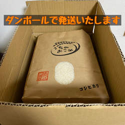 【新米 令和4年】栃木県産 コシヒカリ 10kg【送料もお得に】 4枚目の画像