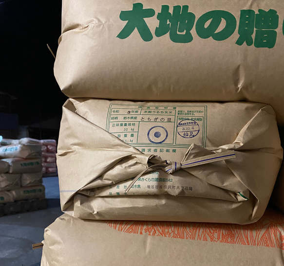 令和4年【新米】栃木県産とちぎの星 玄米24kg【白米にも精米無料