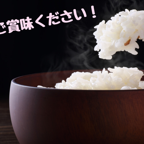 栃木県産　新米【令和4年産】コシヒカリ〔玄米〕24kg 楽天市場】新米入荷調整中【R7年産】栃木県産コシヒカリ 玄米
