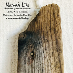 流木のお洒落な壁掛けランタン⁎✧✧キャンドルホルダー✧ナチュラル 雑貨 5枚目の画像